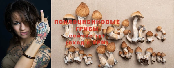 скорость Верхний Тагил