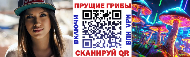 Галлюциногенные грибы Cubensis  закладка  Кандалакша 